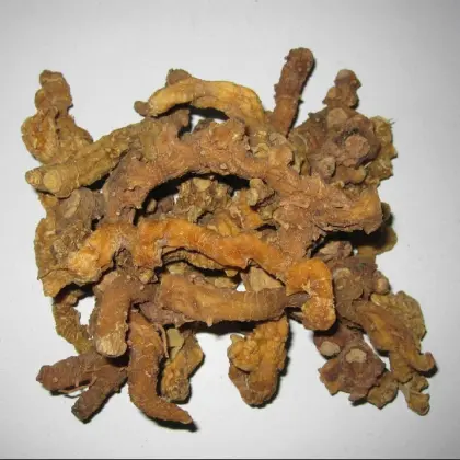 Top Quality Polygonati Rhizoma