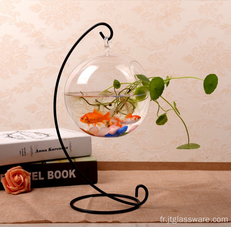 Terrarium en verre de rose de plante d&#39;intérieur de vente chaude