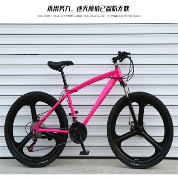 fashion contracted Mountain bicycle