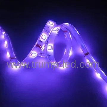 5M Glue Waterproof 5050 SMD 600 LEDs Strip Light Warm white