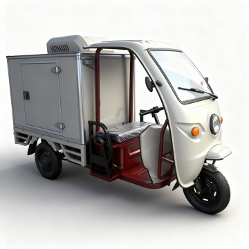 OEM Electric Refrigerated Tricycle for Indonesia Cold Chain Delivery