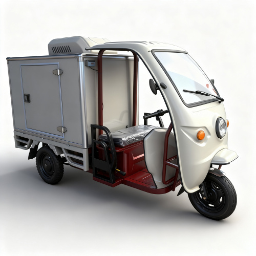 Tricycle réfrigéré électrique OEM pour la livraison de la chaîne du froid en Indonésie