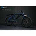 Powerful electric bike 48V 1000W ebike