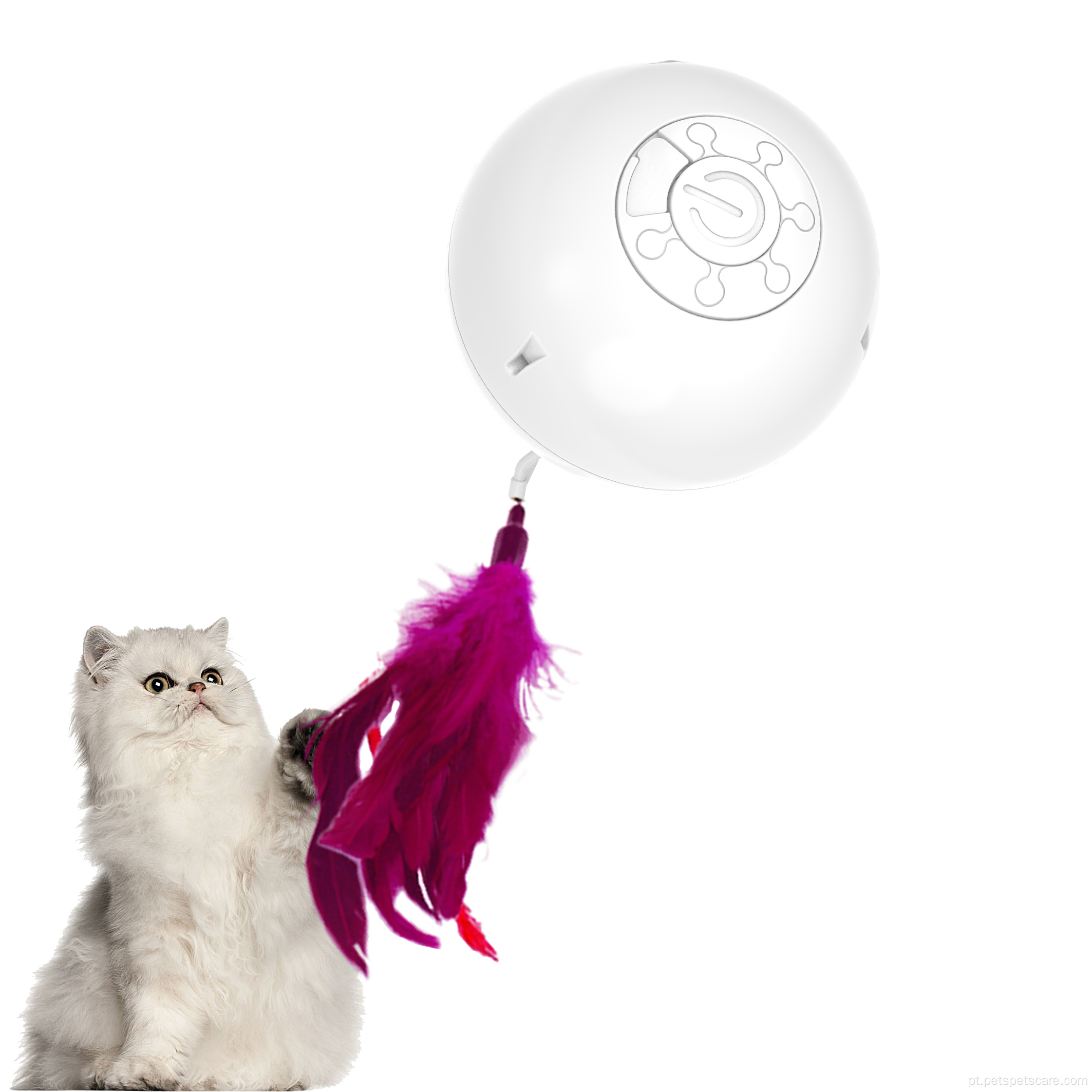 Brinquedos de estimação de bola de brinquedos de brinquedos de gatos inteligentes