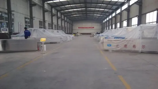 Automatic Double Stretch Vacuum Packing Machine