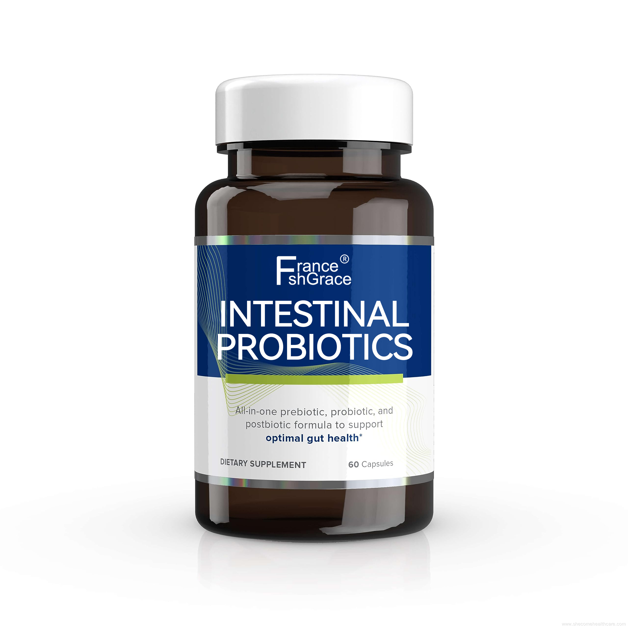 Advanced Gut Health Support Prebiotics Probiotics Supplement