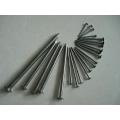 common nails/common iron nails