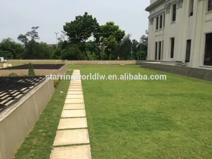 Drainage Board for Roofing Garden