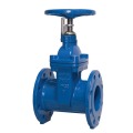 BS Resilient Gate Valve