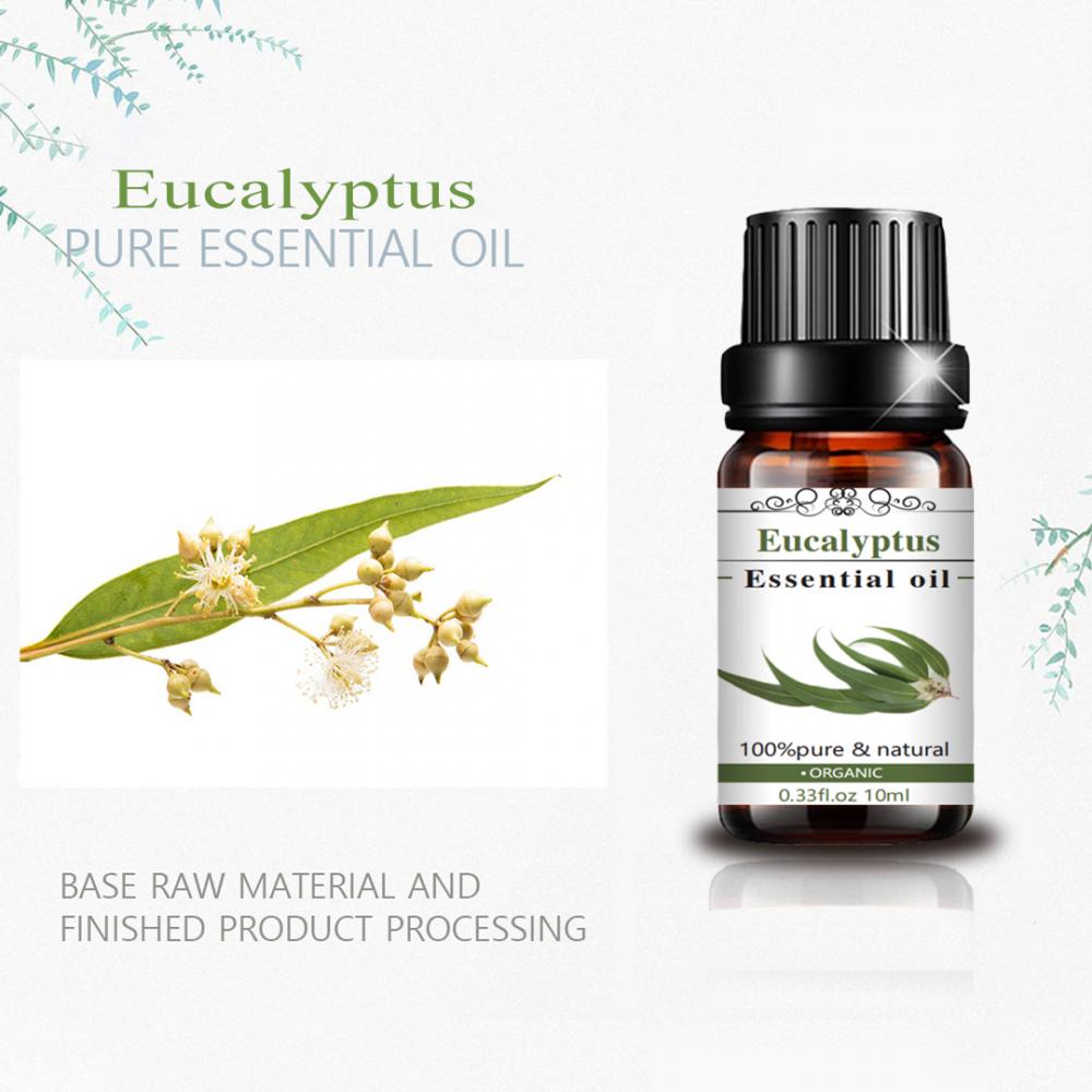 Alivio del estrés natural puro Aceite esencial Eucalyputs Aceite