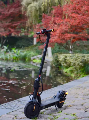 Wholesale 36V 350W Foldable Electric Scooters | Adult Electric Vehicles