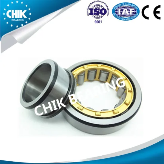 Cylindrical Roller Bearing N205 Nj205 Nj2205v Nu205