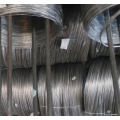 6X19/37 stainless steel wire rope 1in 316