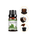 Sabuni ya Massage ya Diffuser kutengeneza mafuta muhimu ya Spearmint