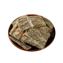 Natural Remedies Using Eucommiae Cortex