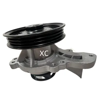 OEM Automotive Parts Water Pump for Chevrolet Tracker Onix (24116051, 24109808, 24109736, 24110339, 24110343, 24109752)