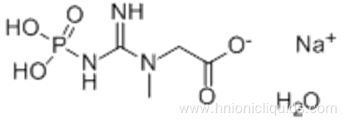 Creatine Phosphate Disodium Salt CAS 922-32-7