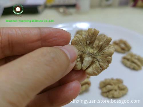 Low Price Top Quality Walnuts kernels light color Bulk