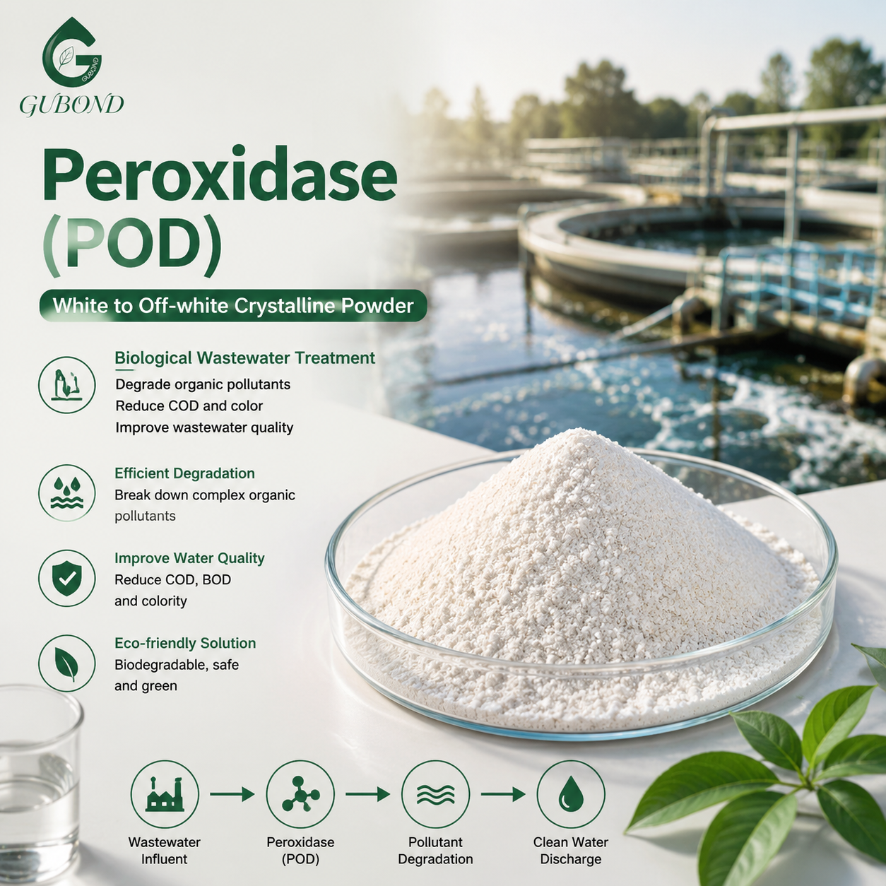 Peroxidase POD (2)