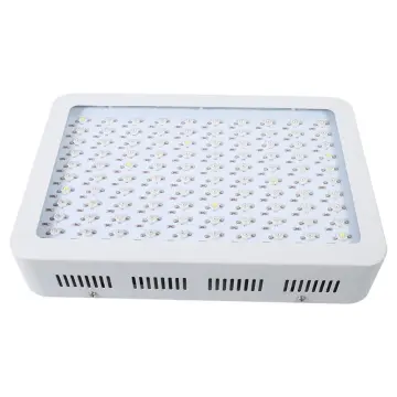 Best LED Grow Lights for Basement Veg&Fruit Plant