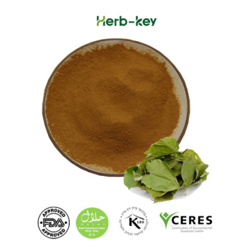 Epimedium Extract Epimedium Powder Exacttr Icariin