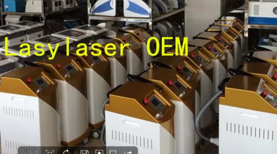Lasylaser OEM Nd Yag Laser as your request