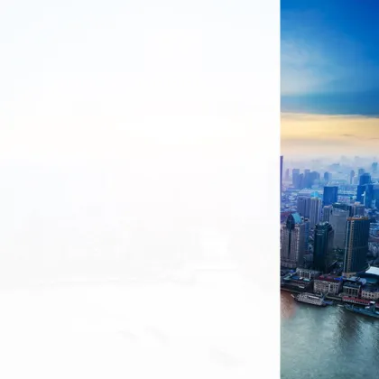 Whiteout Privacy Protection Decorative Window Glass Film