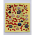 Modelo de glóbulos sanguíneos como herramienta para la educación