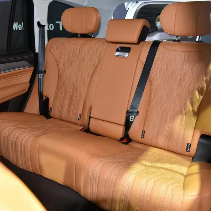 2023 HI4T Great Wall Motors TANK 500 - 5 Seats, Black, 120Km Range, Fast Charge