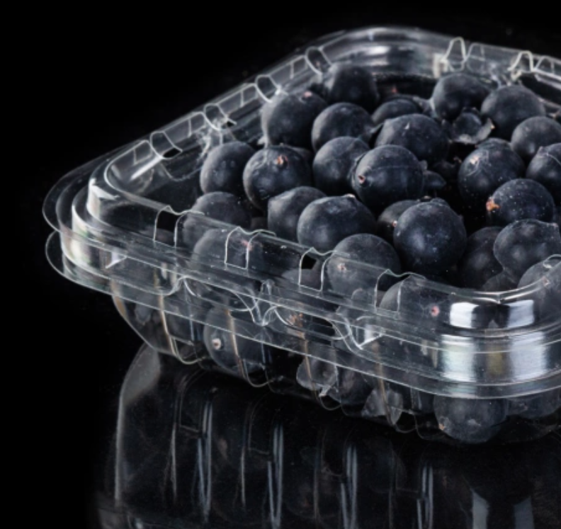 Blister packaging of blueberries