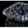 Blister packaging of blueberries