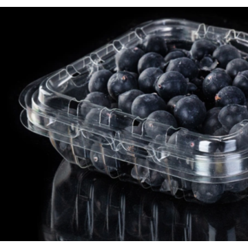 Blister packaging of blueberries