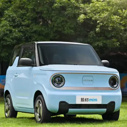 Geely Panda Mini Electric Car: 120km New Energy Vehicle for 2024