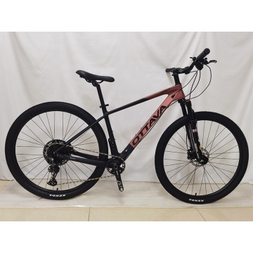 29er Carbon Fiber Mountain Bike