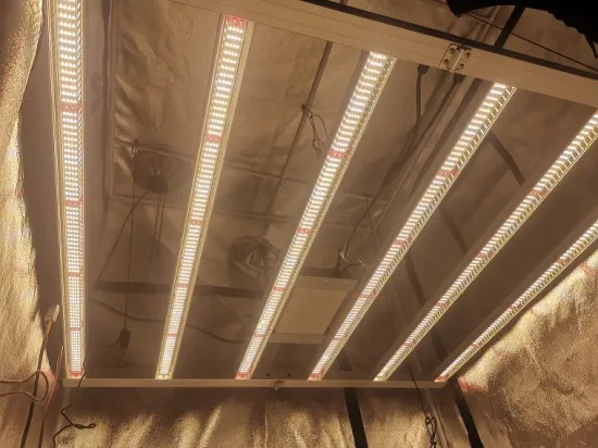 Fluence Full Spectrum Grow Light For Indoor Garden