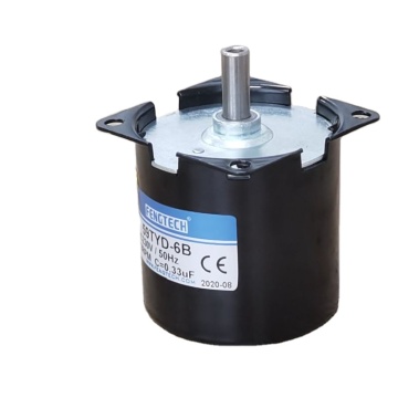 FengTech Mini AC Synchronous Electric Motor 60tyz-e