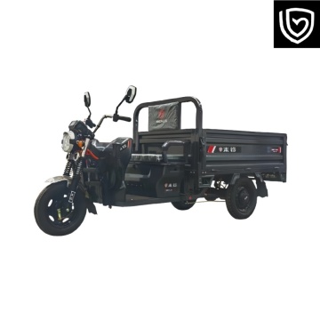 Flexible Configurable Electric Tricycle