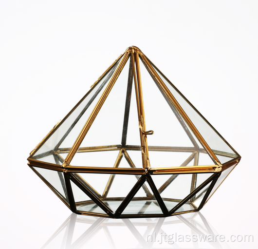Speciale huistuindecoratie Geometrisch terrariumglas