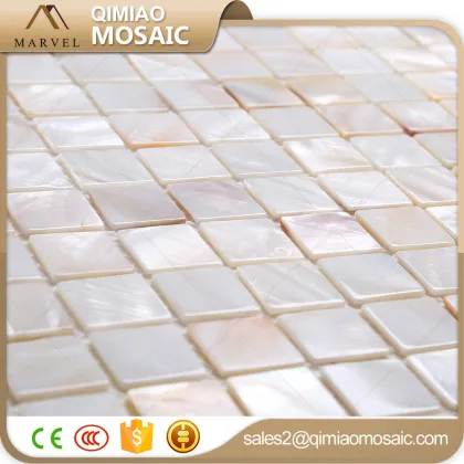 All Kinds Of Building Materials Super White Sea Shell Abalone Mosaic