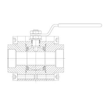 Forged Steel Floating Ball Valve