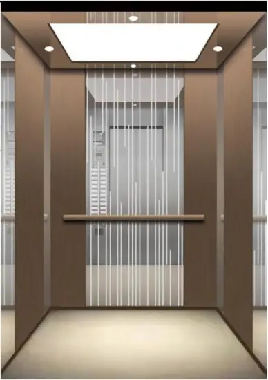 630kg lbs Prices Residential Lift Elevator
