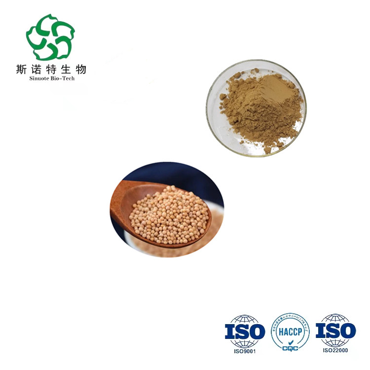 Green Mustard Seed Extract Brassica juncea 10:1