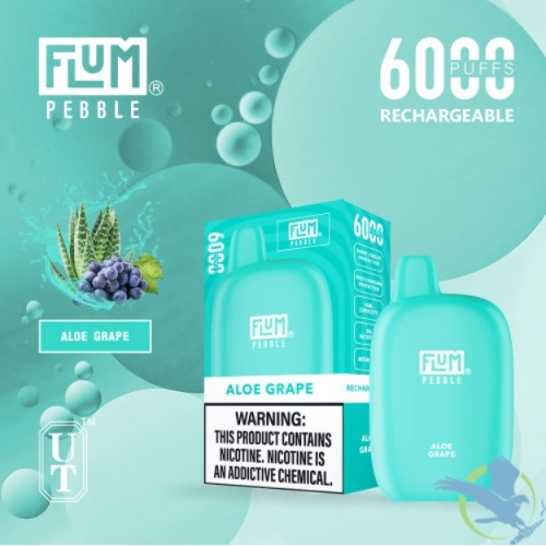 FLUM PEBBLE vape 6000puffs