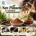 Extrato de Saw Palmetto com ácidos graxos e fitoesteróis