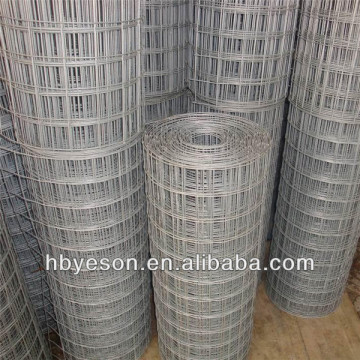 1/4 inch galvanized welded wire mesh