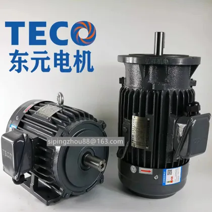 TECO Dongyuan 3.7KW 5HP Brake Motor with 3700W Output: Specifications and Features