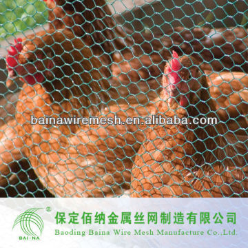 Lowes Chicken Wire Mesh Roll Golden Supplier