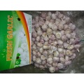 2019 Hot Sale Fresh Garlic