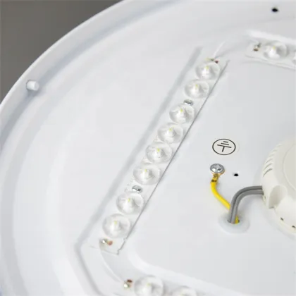 2021 Popular Modern Nordic Minimalist LED Ceiling Lamps
