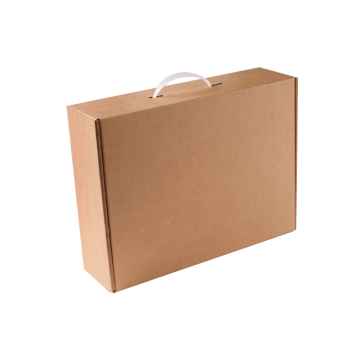 Carrying Case Mailer Box with Handle